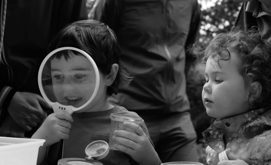 A young person outdoors looking through a lens at bugs at a 2025 Cruinniú na nÓg Biodiversity event at Inch Wildfowl Reserve