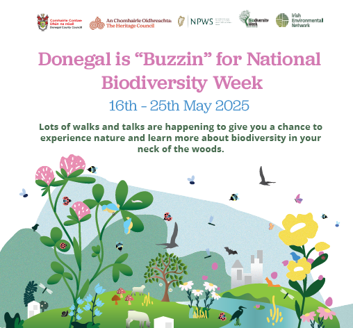 Le Chéile don Dúlra (Together for Nature) Biodiversity Festival in the Park at Glenveagh National Park 21